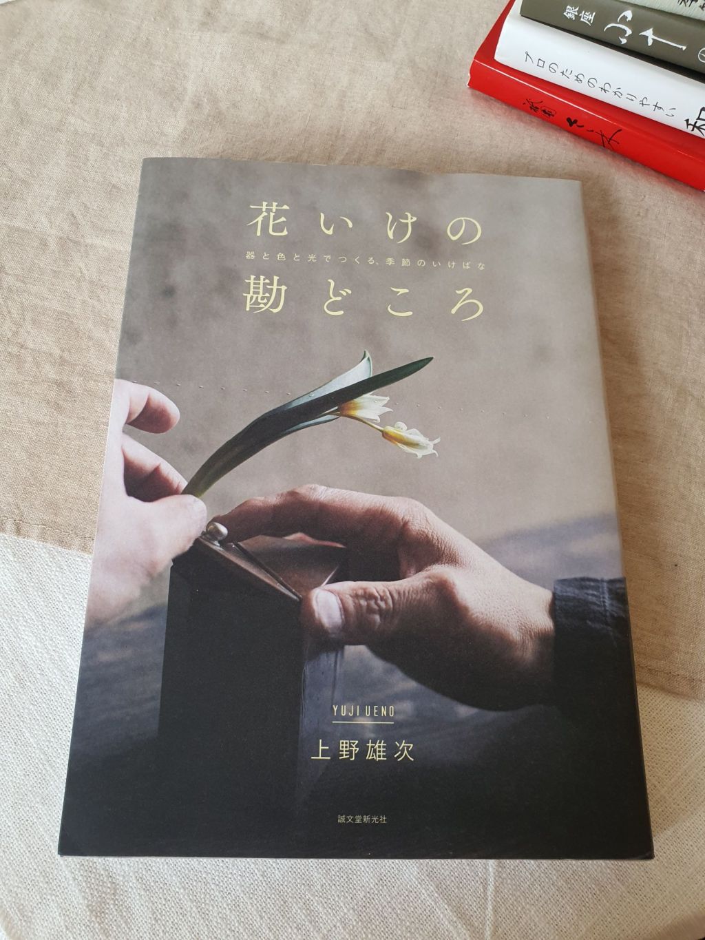 HANAIKE NO KANDOKORO – Ikebana&nbsp;Tips